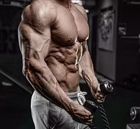 FitCollective
