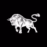 Bullish Traders Club