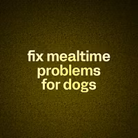 fix mealtime problems for dogs