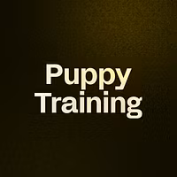 Puppy Training 