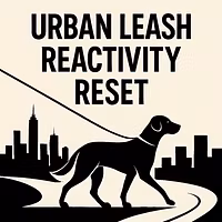 Urban Leash Reactivity Reset