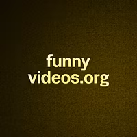 funny videos.org