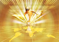 SoftTrade Solutions SOFTWARE