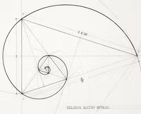 Golden Ratio Spiral