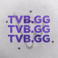 TVB LLC