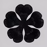 Black Clover