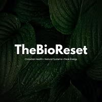 TheBioReset