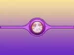 Yehudas Gifts LLC SOFTWARE