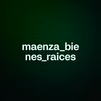 maenza_bienes_raices