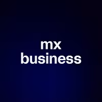 mx business 