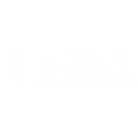 UEDA DESIGN STUDIO, LLC