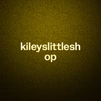 kileyslittleshop