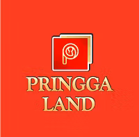 Billionaires and Private Island Owners