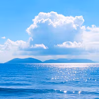 VitalMind Coaching & Courses