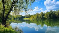 BetWise Coaching & Courses