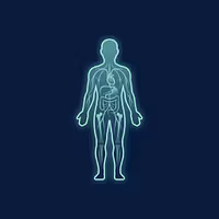 Body Quirks Explained