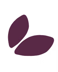 Balance