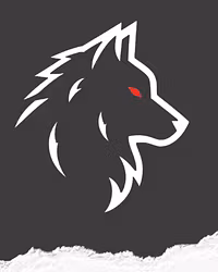 RayInTheDark LLC