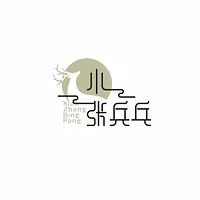 Xiao Zhang's Table Tennis Training Camp