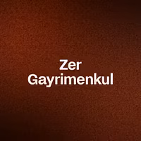 Zer Gayrimenkul