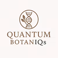 Quantum Accelerator