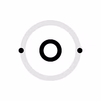 Project ICON, LLC