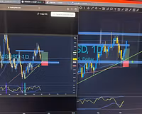 Phoenix Signals & Live Trading