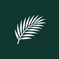 Palm Proxy