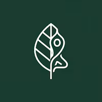 The Wellness Collective