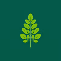 Benefits of Moringa Leaves