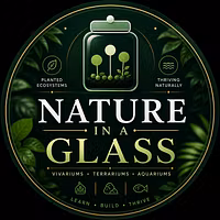 Nature In Glass