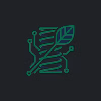 SpringScale Academy