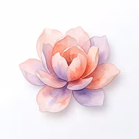 Bloom Canvas Studio