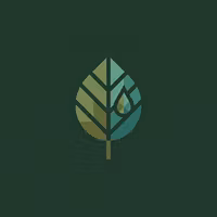 Rooted Decisions