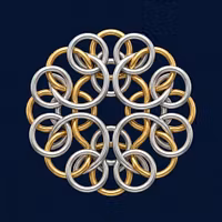 Chainmaille Mentor