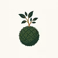 Kokedama Studio