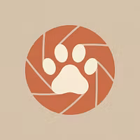 Paws in Focus