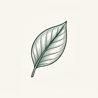 Root & Leaf