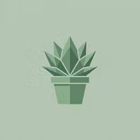 Sprout & Stone Succulent Academy