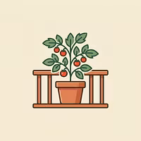 Balcony Bounty Academy