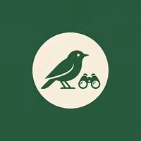 Featherscope Academy