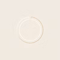 The Essentialist