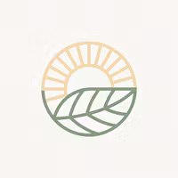 Reset Collective