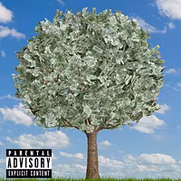 MONEYTREEE