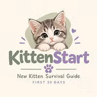 KittenStart