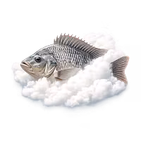 SOKI CLOUD