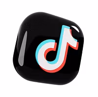 TikTok Income System