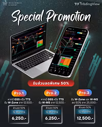 W-zone / W-MS