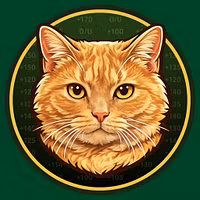 CatPicksHQ