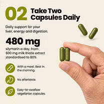 Take two capsules daily: 480 mg silymarin a day